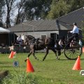 IMG_828555