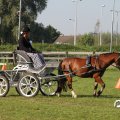 IMG_828557