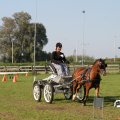 IMG_828559