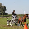 IMG_828560