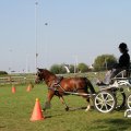 IMG_828562