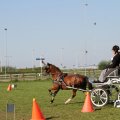 IMG_828563