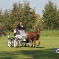 IMG_828564