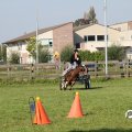 IMG_828565
