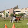 IMG_828566