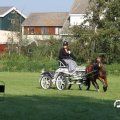 IMG_828568