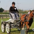 IMG_828575