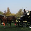 IMG_828577
