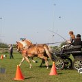 IMG_828579