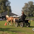 IMG_828581