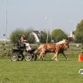 IMG_828582