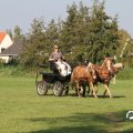 IMG_828583