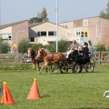 IMG_828585