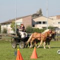 IMG_828587