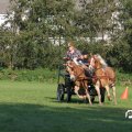 IMG_828590