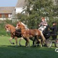 IMG_828591