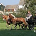 IMG_828592