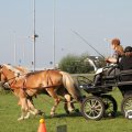 IMG_828593