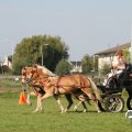 IMG_828594