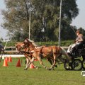 IMG_828596