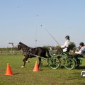IMG_828600