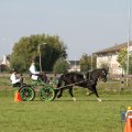 IMG_828601