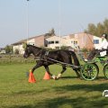 IMG_828608
