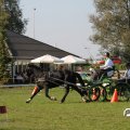 IMG_828611