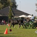 IMG_828612