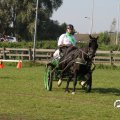 IMG_828613