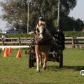 IMG_828615