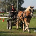 IMG_828616