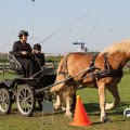 IMG_828617