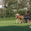 IMG_828618