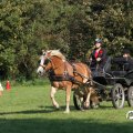 IMG_828620