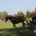 IMG_828621