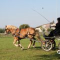 IMG_828622