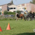 IMG_828625