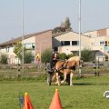 IMG_828626