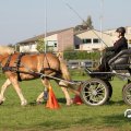 IMG_828630