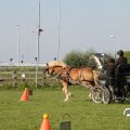 IMG_828631