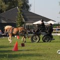 IMG_828632