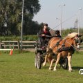 IMG_828633