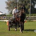 IMG_828635
