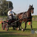 IMG_828636