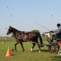 IMG_828638