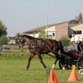 IMG_828647