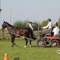 IMG_828648