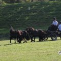 IMG_828651