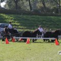 IMG_828654